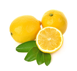 lemon isolated on white background