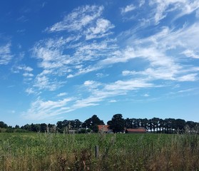Farm with clouds in the sky