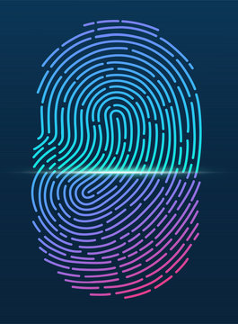 Fingerprint. ID app icon. Fingerprint icon app. Fingerprint ID symbol. Fingerprint scan. Fingerprint security check. Vector illustration Eps10 file
