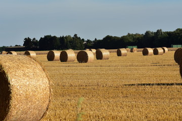 Strohballen