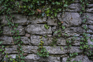 Background with the image of stone