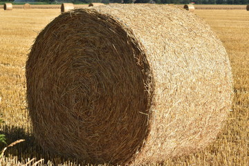 Strohballen 