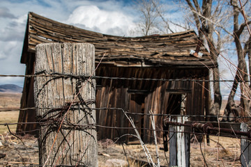 Fencepost, Barbed Wire and Cabin