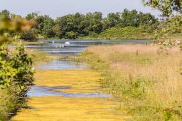 Ornithological Park of Marquenterre, in the Bay of Somme