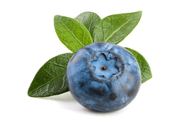 Single fresh blueberry with leaf isolated on white background