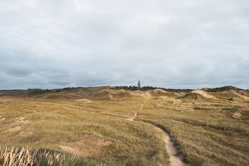 Lighthouse and path in the field