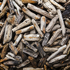 Abstract art background of varied weathered plywood.