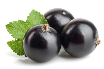 three black currant with leaf isolated on white background