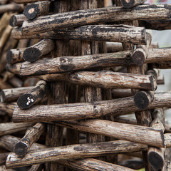 Cut wooden logs texture. Wooden background. Pieces of wood in the rural area. Pile of wood