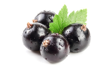 three black currant with leaf isolated on white background