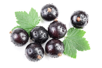 black currant with leaf isolated on white background. Top view. Flat lay pattern
