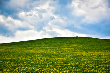 Mountain landscape