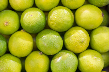 lime harvest. many green limes. lime background. limes from tree. lime harvest. many limes. perfect limes.