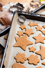 Preparing gingerbread cookies for Christmas. Various cookie shapes