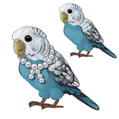 Wavy blue parrot or budgerigar isolated on white background. Tropical domesticated bird with a necklace of pearls. Animated vector cartoon close-up illustration.