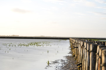 Naklejka premium Impressionen der Nordsee