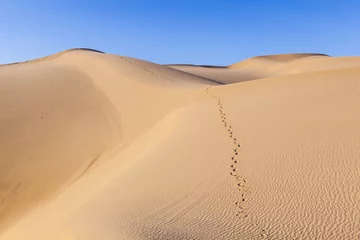 Foto auf Acrylglas Dürre Sanddüne bei Sonnenaufgang in der Sonora-Wüste mit menschlichen Fußstapfen im Sand