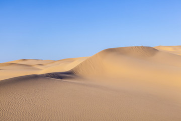 Fototapeta na wymiar sand dune in sunrise in the sonoran desert