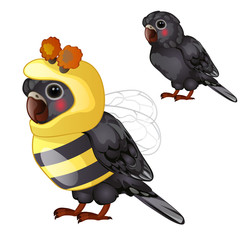 Fototapeta premium Cute black parrot in bee costume isolated on a white background. Tropical tamed bird. Animated vector illustration.