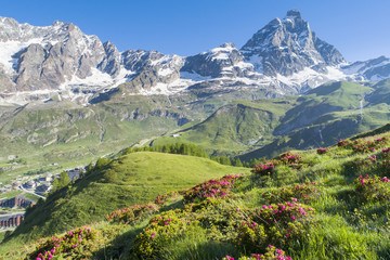 Fototapeta na wymiar summer day in Alps valley with flowers and hills in Italy