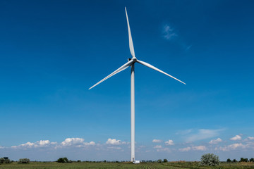 Fototapeta premium Wind turbines electricity blue sky