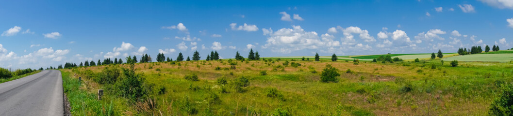 Fototapeta na wymiar panorama beautiful view landscape field