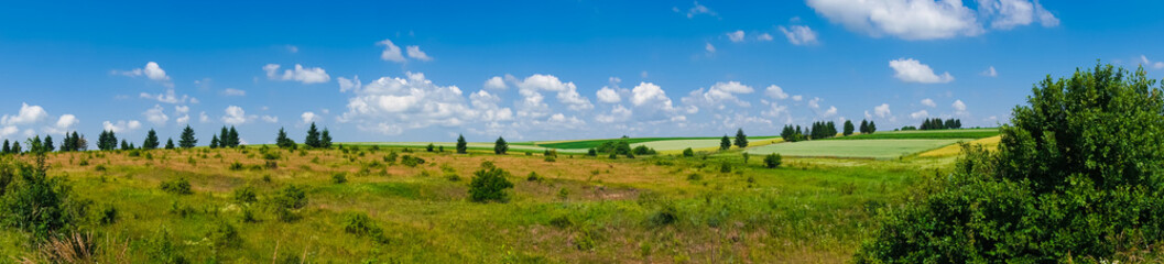 Fototapeta na wymiar panorama beautiful view landscape field
