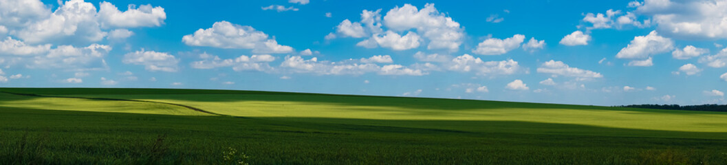 panorama beautiful view landscape field