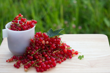 Still-life photo with fresh currant berries on wooden plank