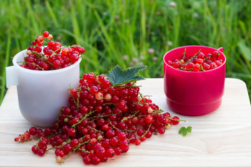 Still-life photo with fresh currant berries on wooden plank