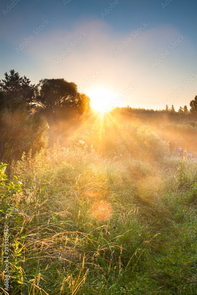 Wall mural landscape with sunrise and forest and meadow