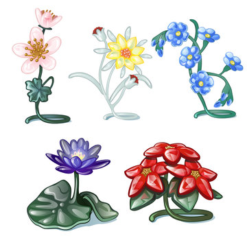 Set of decorative interior items isolated on a white background. Table compositions in the form of blooming flowers. Vector illustration.