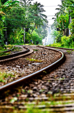 The railway that runs through the jungle. Sri Lanka
