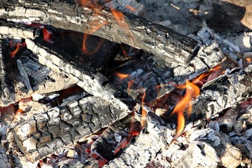 Wood fire /campfire /  fireplace