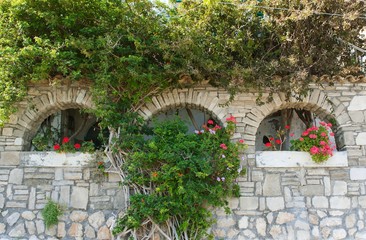 The windows decorated with green leaves and flowers in Sperlonga in central Italy