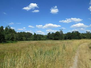 Obraz premium Natural England - fields, forests, sunny views