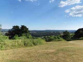 Natural England - fields, forests, sunny views