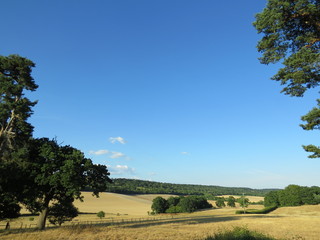 Fototapeta premium Beautiful Surrey hillside - English countryside view