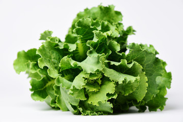 Natural diet food, fresh lettuce leaves, healthy food