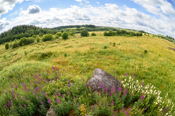 Open meadows of Karelia, summer, fisheye