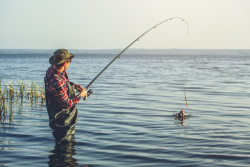 A fisherman in a red shirt caught a pike-perch in a freshwater pond.