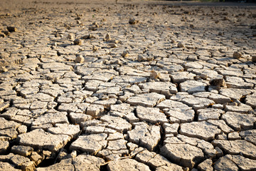 Cracked earth due to drought / River dried up, showing environmental damage.