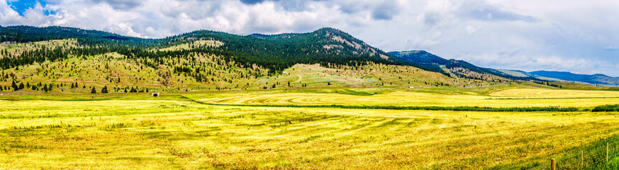 Obraz premium Ranch Land in the Nicola Valley along Highway 5A between Merritt and Kamloops, British Columbia, Canada