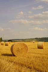 Fototapeta premium Paysage Campagne 288