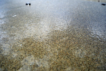 Sandy shore
