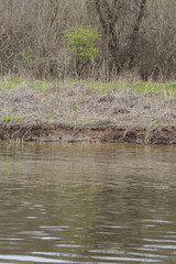 Boat Wake and Lake Shore