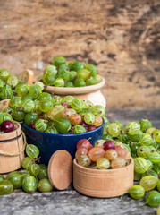 Fresh gooseberries 