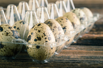 quail eggs in the container