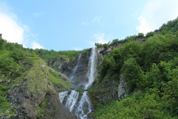 Beautiful flower blossoms in the mountains, in summer