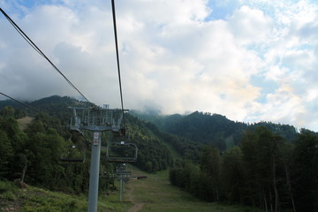 Beautiful flower blossoms in the mountains, in summer
